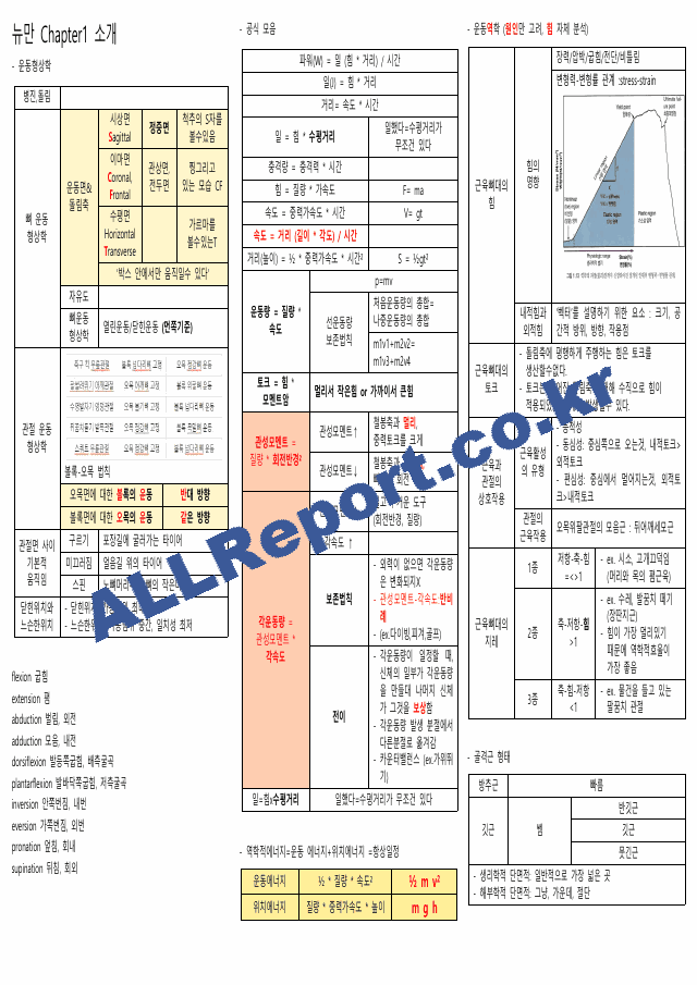 뉴만(해부학,운동학) 정리본(카셉시험) (1 페이지)